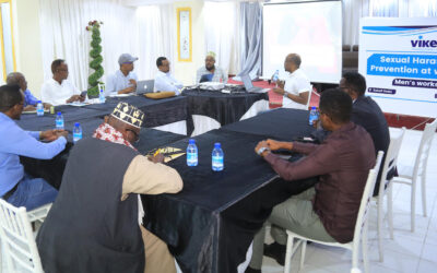 Vikes trained media managers and editors on sexual harassment in Somalia